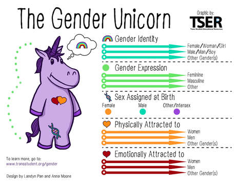 Gender Unicorn Information